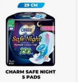 CHARM SAFE NIGHT 5 PAD WING PCK 290mm