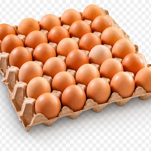 TELUR AYAM 1 RAK = 30 PCS