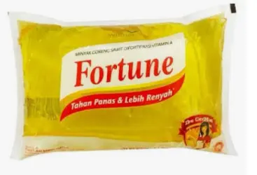FORTUNE PILLOW PACK 500ML