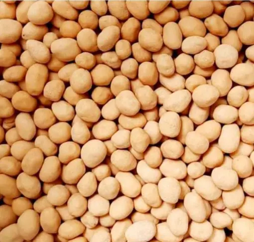 KACANG ATOM