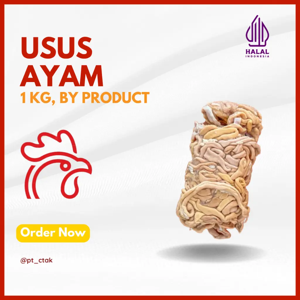 USUS AYAM
