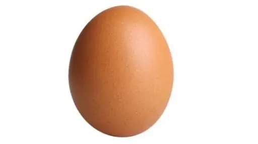 TELUR SATUAN